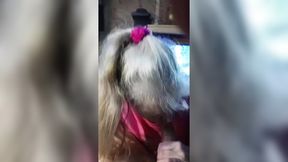 Hot Mature Takes Her Friend's Cock&#x1F346;!