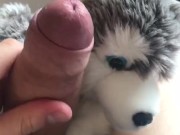 Jacking off again with my wolf plush
