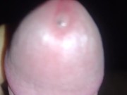 The Night Before I Get Back On Trail