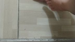 Hajar ants crush