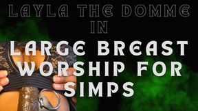 Large breast worship for simps