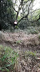playing with my tittys in the woods