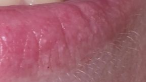 A Tour of Katjas Mouth