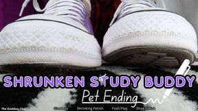 Shrunken Study Buddy PET Ending - HD - The Goddess Clue, Magic Pen Minimizes Your Size, Shrunken By Your Classmate And Made Into A Toy, Teased About Being Small, Converse Fetish, Foot Fetish, Shoe Play, Kept As A Foot Slave Forever