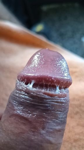 Precum Foreskinuncut