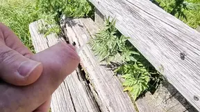 Fast Outdoor Cumshot on a Bench at a vantage point