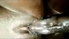 Creamy Doggy With Berks