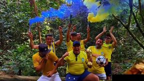 os brasilheirinhos 2026.