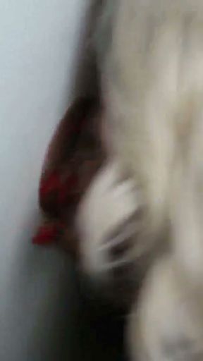 Harper Cox Ex AMISH BIMBO Big Tit Penis Sucker N Wild Fucker in Glory Hole!   Clip 2