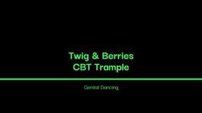 Genital Dancing