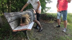 Wild encounters under the trees