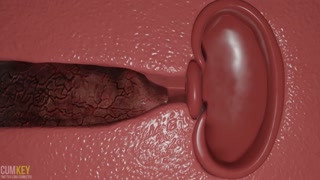 Busty Slut in KnoTrouble | Vote winners | Huge Knot Dick | 3d Porn