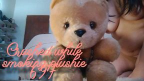 Crushed while smoking plushie 697