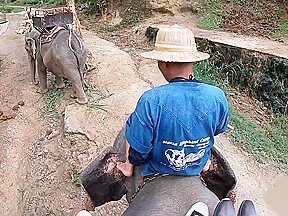 Elephant riding in Thailand with teen 18+ couple who had sex afterwards