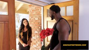 Booming Cougar BBC Hardcore Fucked By Neighbour - Jamie Michelle - DogfartNetwork