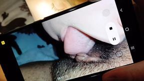 Three Roommates Enjoy Intimate Moments