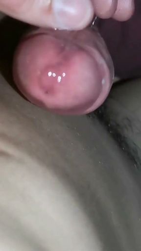 the penis is very excited and flows a lot of lubrication after abstinence   Clip 1