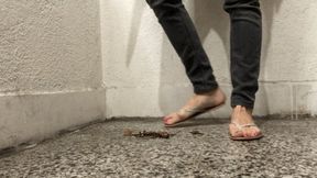 CRUSHING BIG CIGAR IN SANDALS - MP4 HD