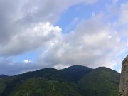 Paja en frente de la montaña