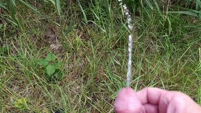 Pissing outdoors