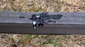 This has left after the friends walk in the nature