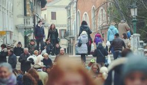 why you should purchase a sex toy from cirillas