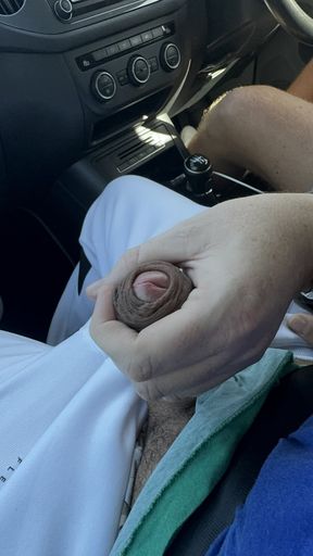 The uber guy let me show my dick and he sucked me