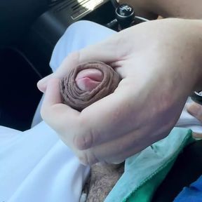 The uber guy let me show my dick and he sucked me