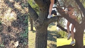 meando desde un arbol en la gral. paz jajaja
