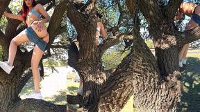 meando desde un arbol en la gral. paz jajaja