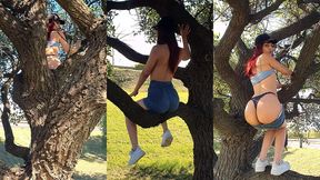 meando desde un arbol en la gral. paz jajaja