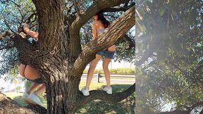 meando desde un arbol en la gral. paz jajaja