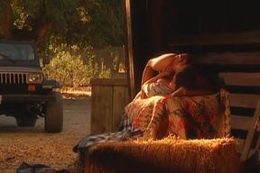 Blonde Babe Gets Hardcore Fucked in the Barn