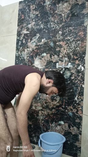 Sex within two love birds