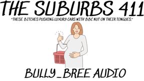 The Suburbs 411 Audio