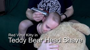 Teddy Bear Head Shave 4k