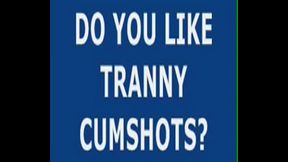 Beautiful Brazilian shemale cum