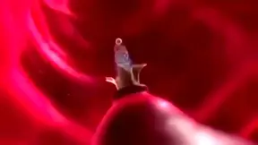 Anime Lovers Ignite Passion Under Starlight with Savage Garden Vibes