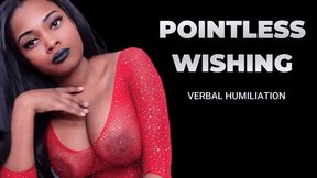 Pointless Wishing