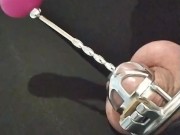 Chastity cage