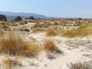 hairy bear huge full of cum big balls sunburning on the Greek gay cruising beach