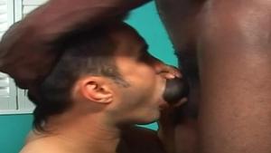 BlacksOnBoys - Black cock Brad good fucking