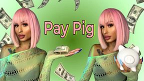 Pay Pig 🐷💰