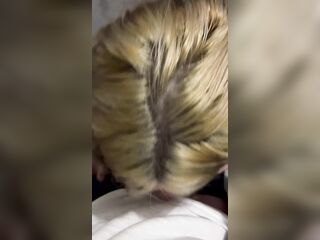 I Am A schlong-sucker I Will Suck Any Colour Shlong