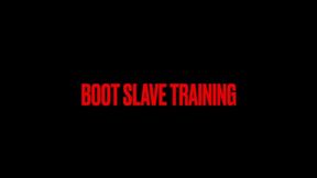 Boot Slave Training- wmv