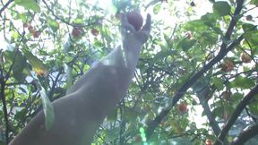 Gorgeous chick drains big dick in the gym