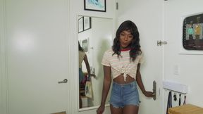 Vanniall - Totally Real Handyman