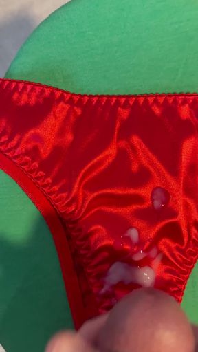 Cum on Wife’s Panties 15