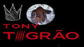 a espetacular natasha rios no segundo episodio da nova serie do canal, entrepadas do tigrao!!