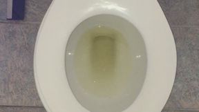I PEE GOLD IN MY TOILET POV